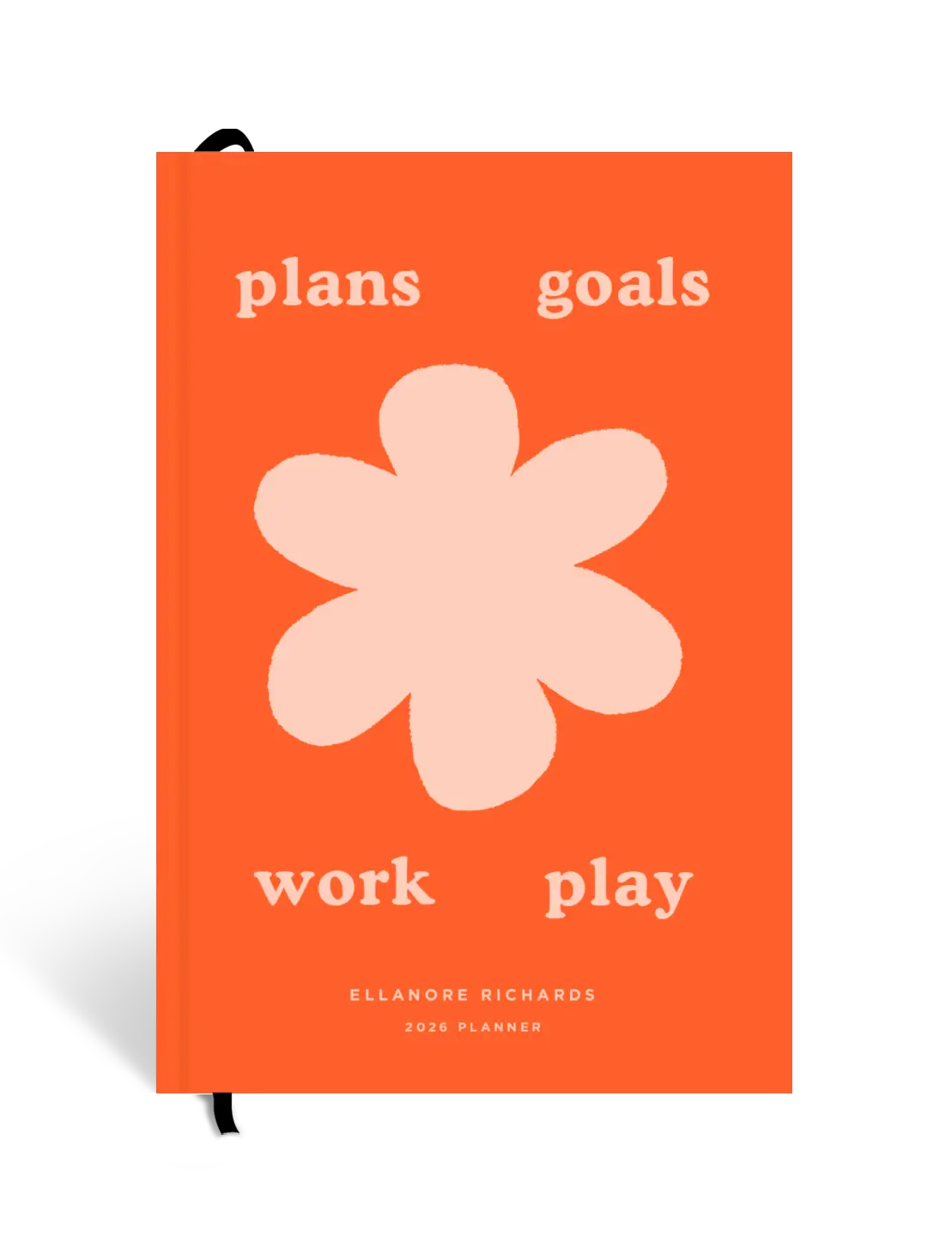 Plans & goals